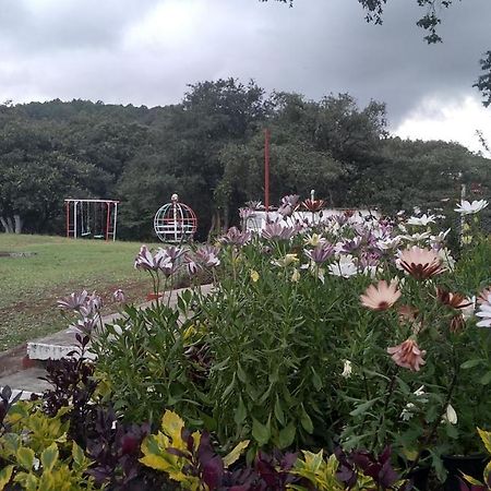 Bungalows Villa Limon Chignahuapan Dış mekan fotoğraf